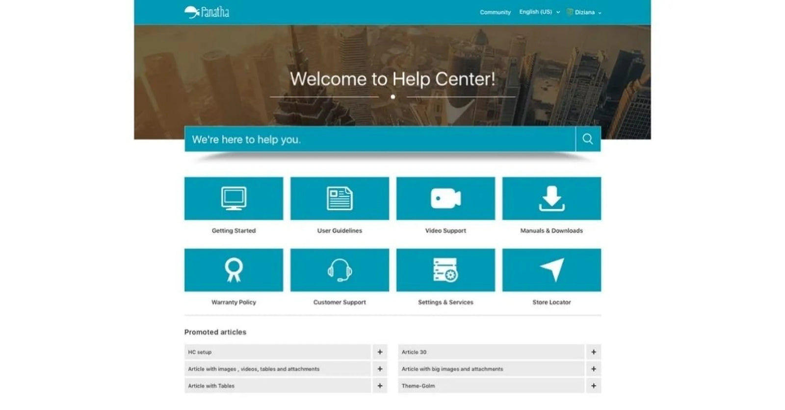 Transform Your Zendesk Experience with Diziana’s Panatha Theme