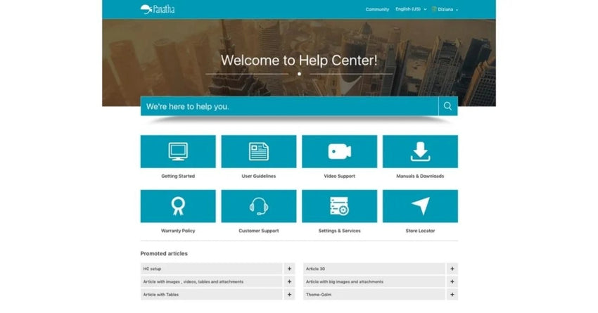 Transform Your Zendesk Experience with Diziana’s Panatha Theme