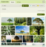 Creative Suite