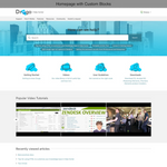 Diziana Drogo Theme Homepage with Custom Blocks