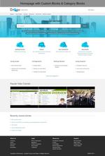 Diziana Drogo Theme Homepage with Custom Blocks and Category Blocks