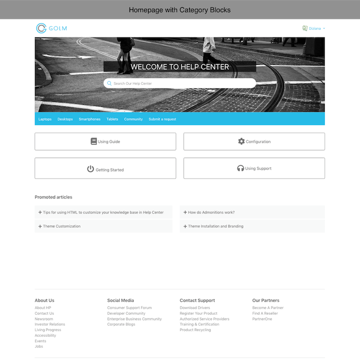 Diziana Golm Theme Homepage with Category Blocks