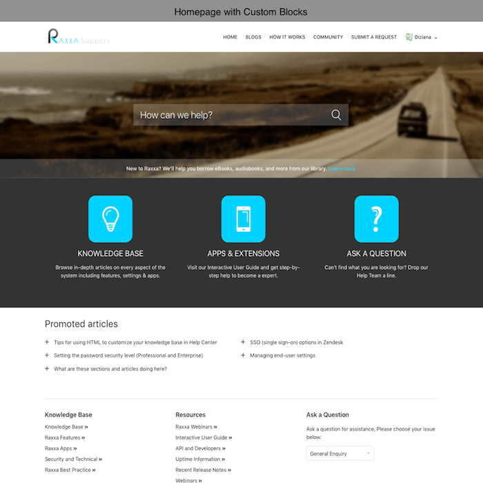 Diziana Raxxa Theme Homepage with Custom Blocks