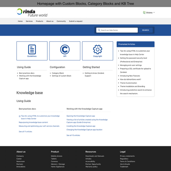 Diziana Rinda Theme Homepage with Custom Blocks, Category Blocks and KB Tree